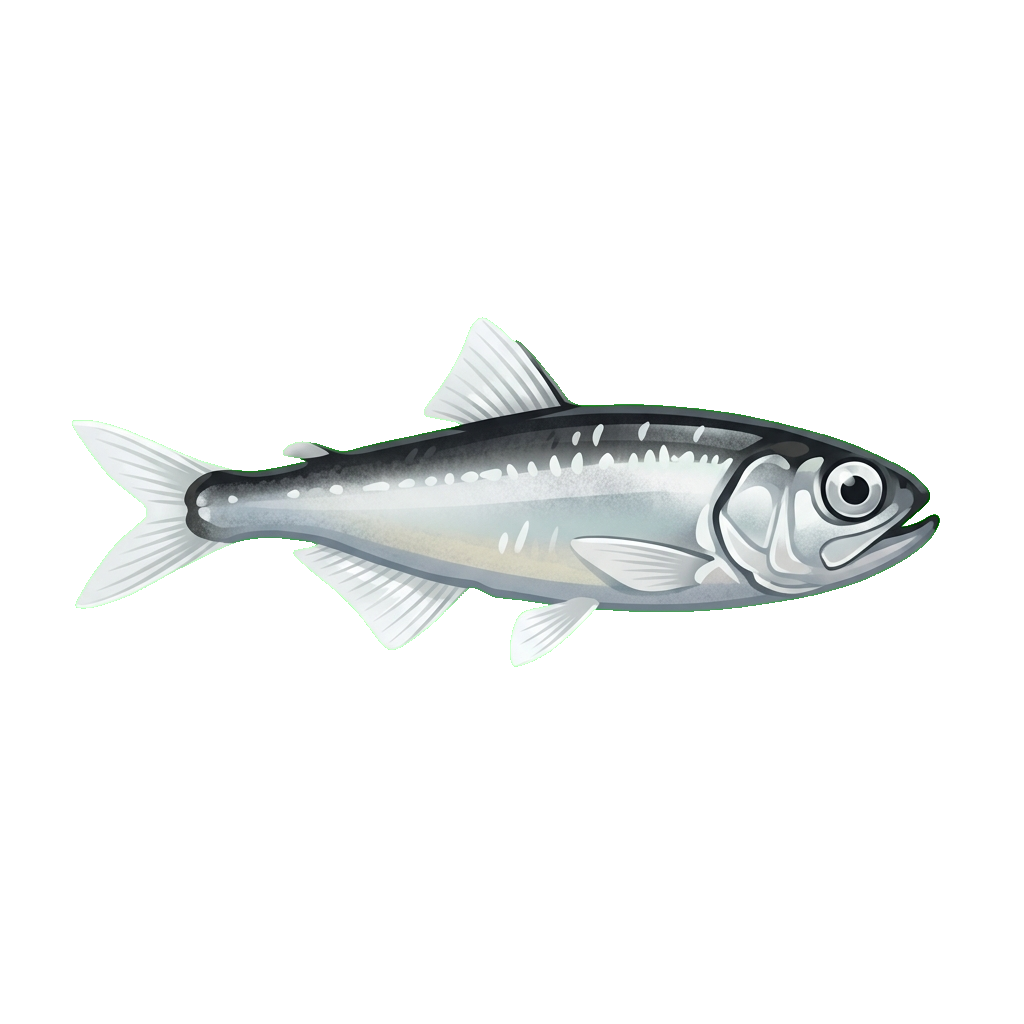Stylized 2D illustration of Antarctic lanternfish