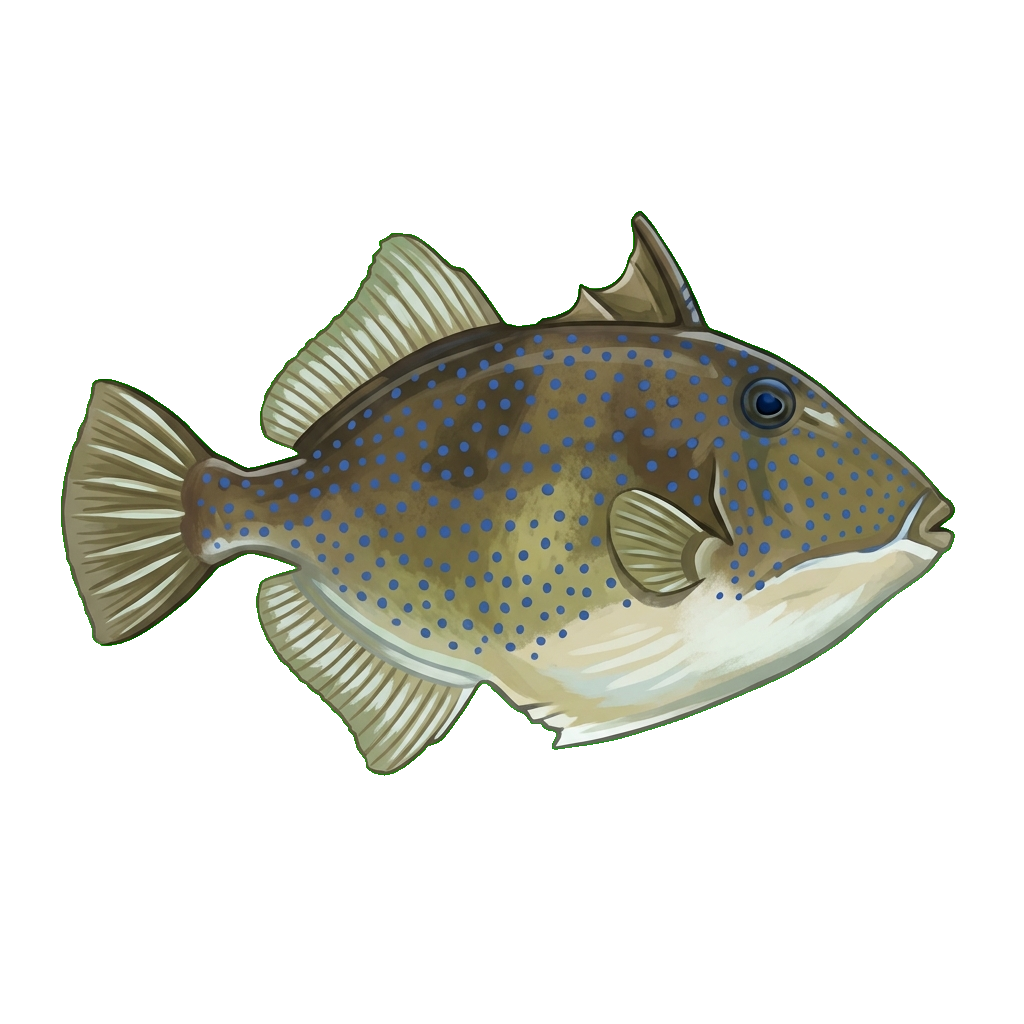 Stylized 2D illustration of Bluespotted triggerfish