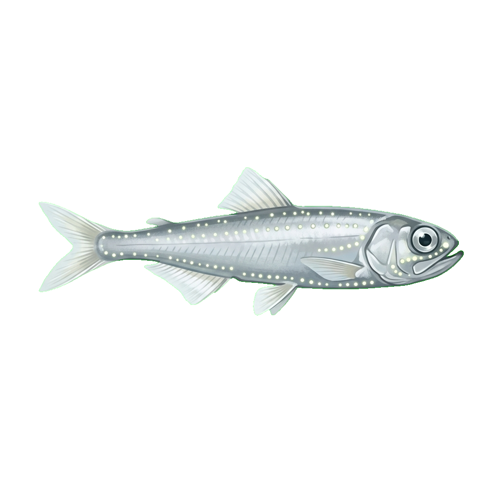 Stylized 2D illustration of Electron subantarctic