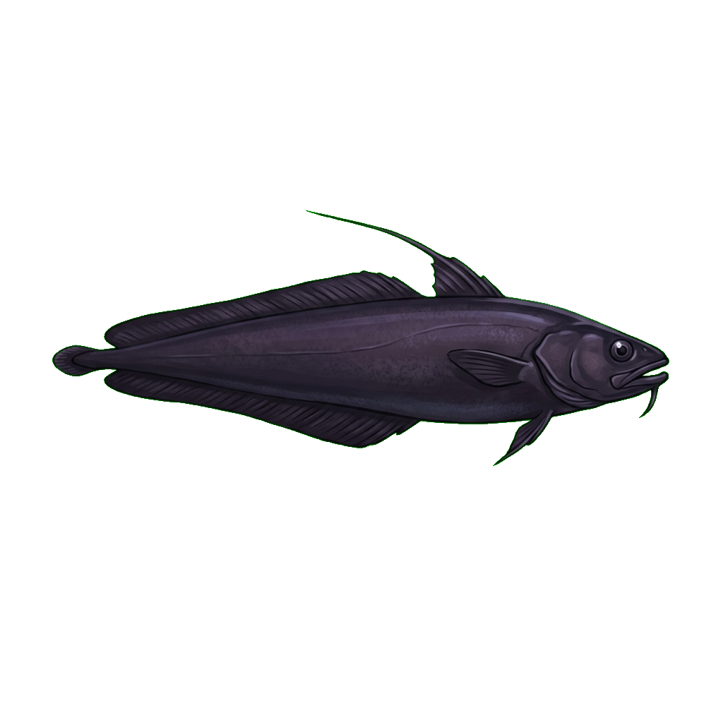 Stylized 2D illustration of Finescale mora