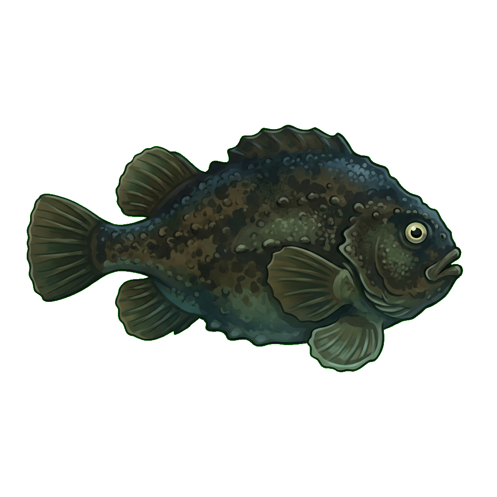 Stylized 2D illustration of Lumpfish