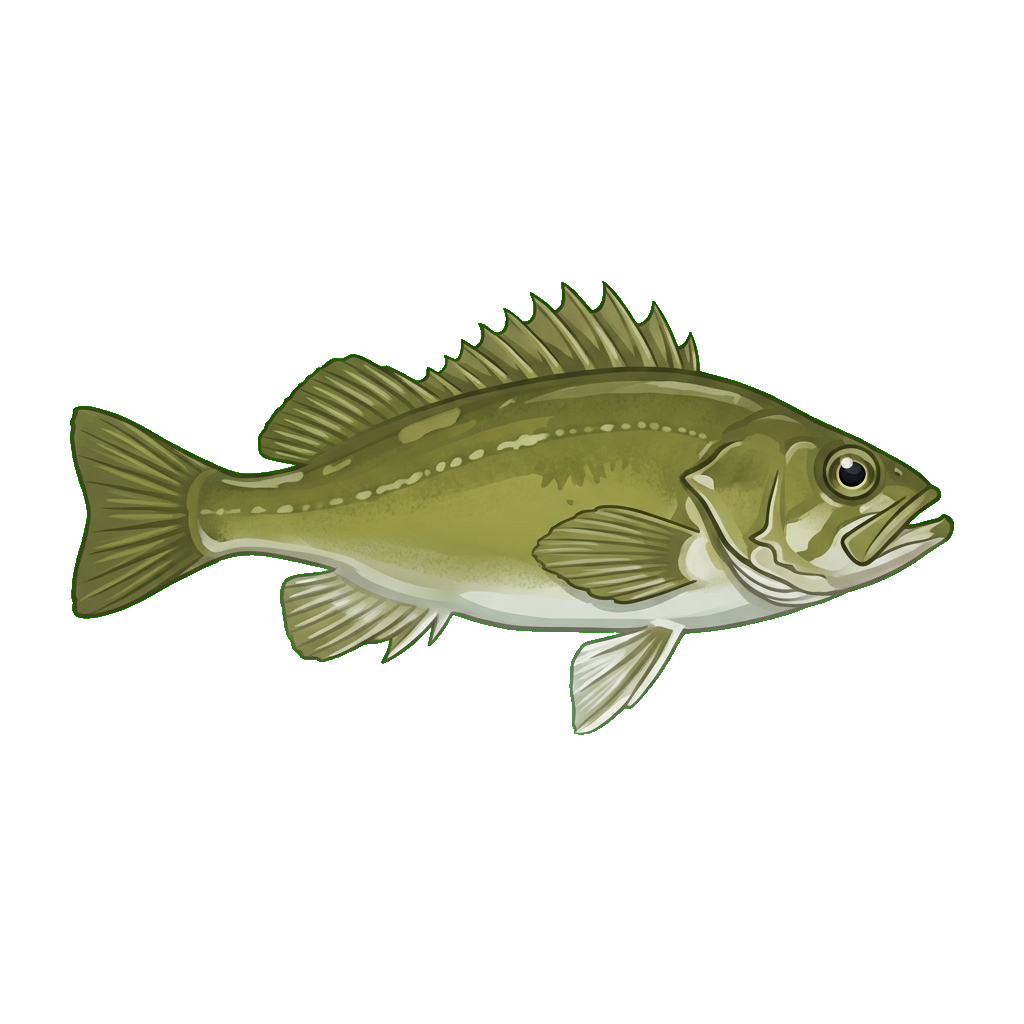 Stylized 2D illustration of Olive rockfish