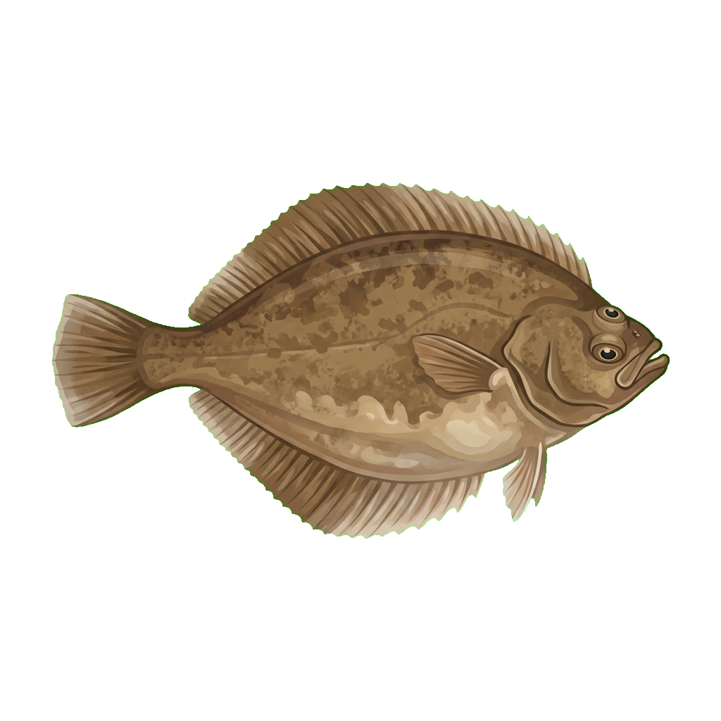 Stylized 2D illustration of Slender sole