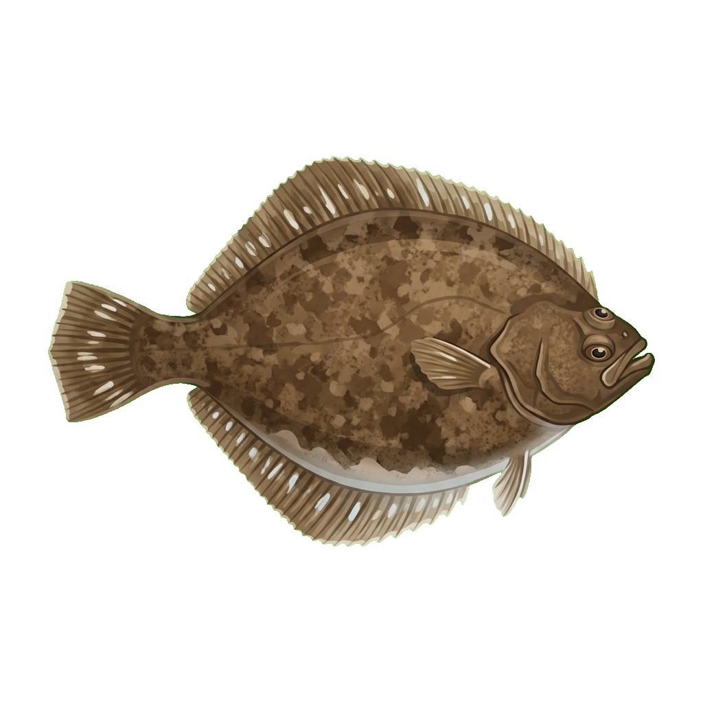 Stylized 2D illustration of Slime flounder